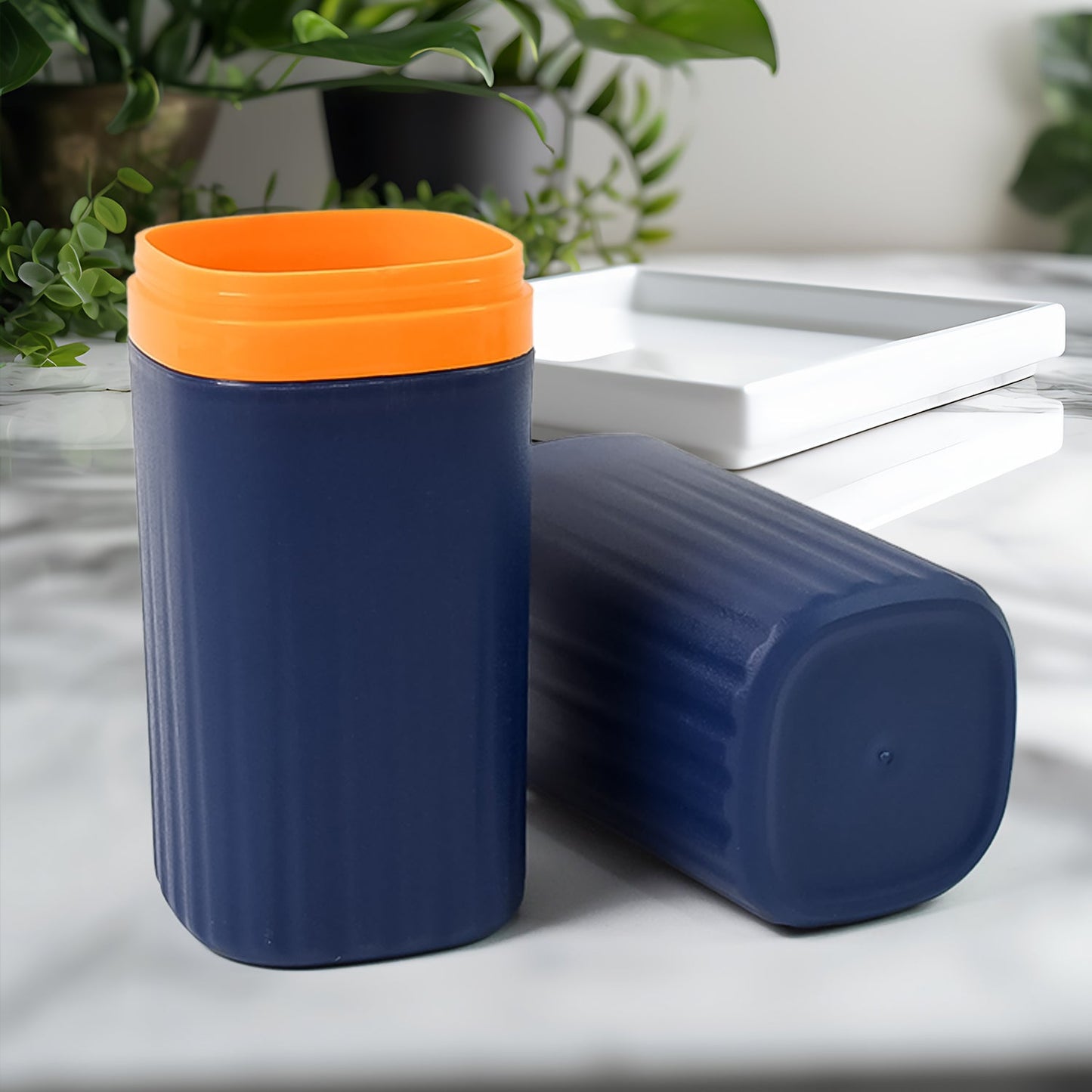 Travel Toothbrush Holder