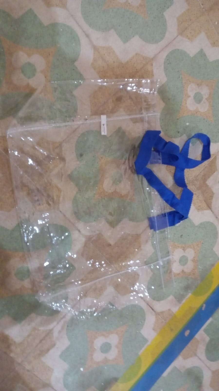 Transparent Gift Bag