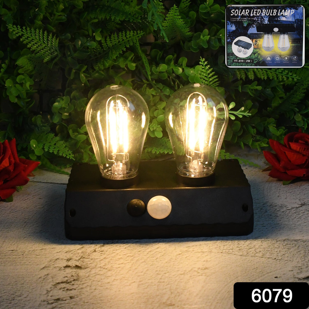 Solar LED Wall Lamp
