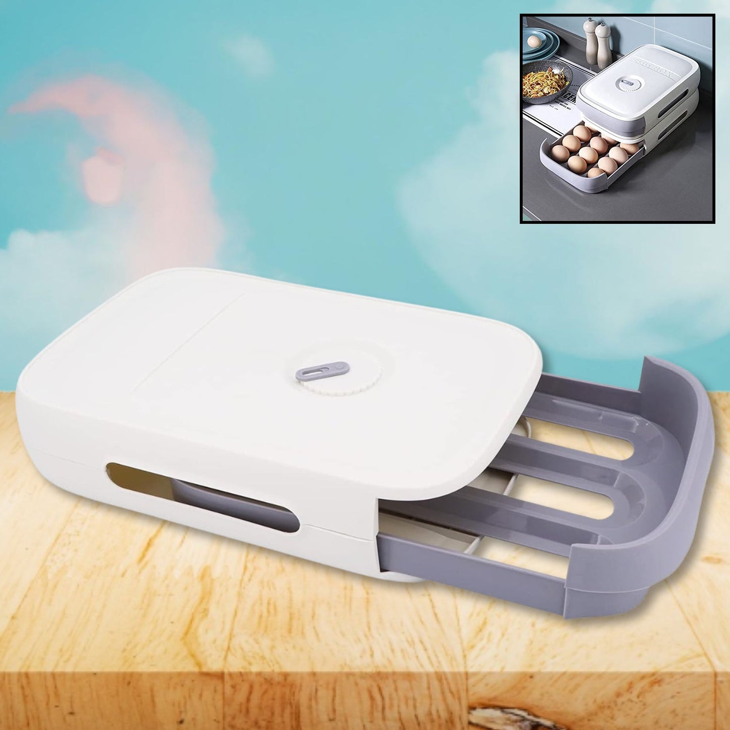 Plastic Egg Box