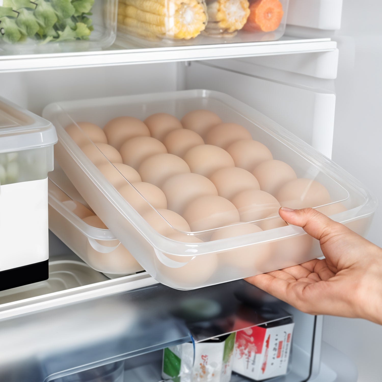 Egg Storage Container – 24 Eggs