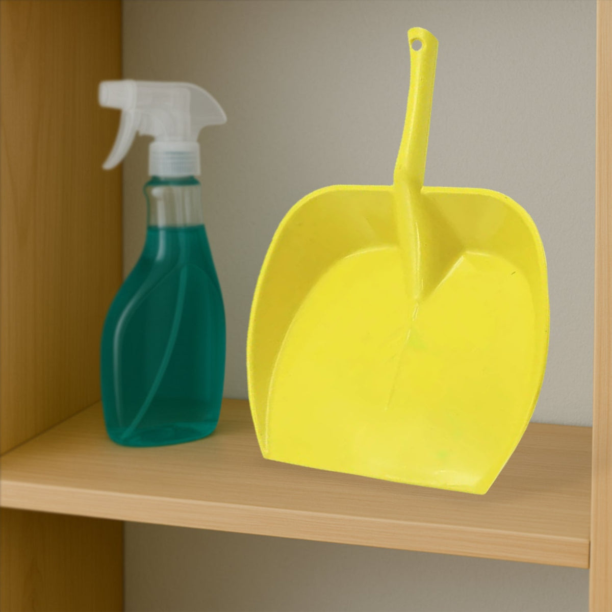 Long Handle Dustpan