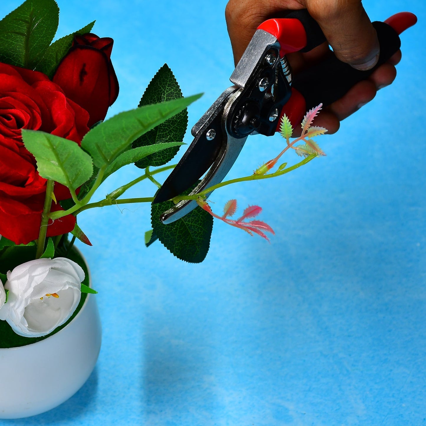 Sharp Garden Pruning Shears
