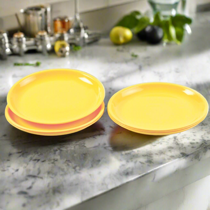 Durable Mini Soup Plates