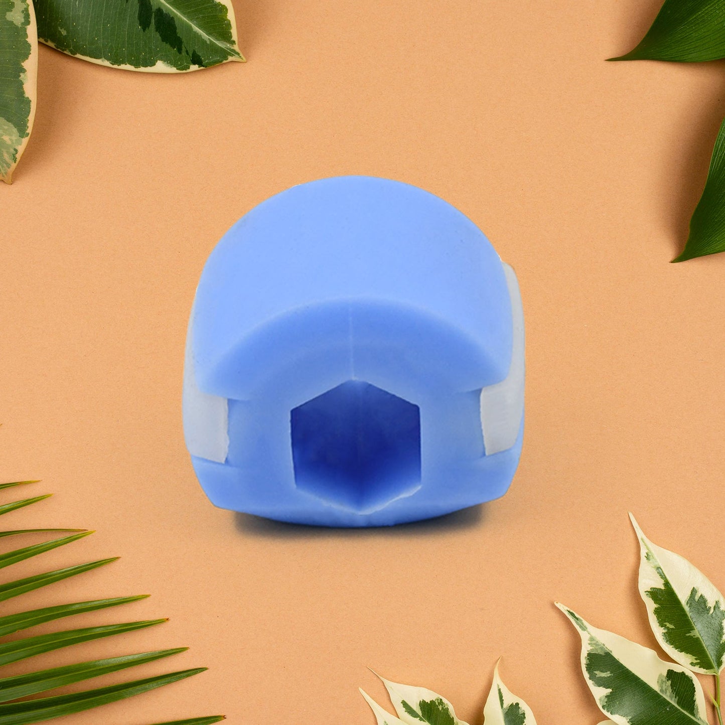 V CN Blue Jaw Exerciser