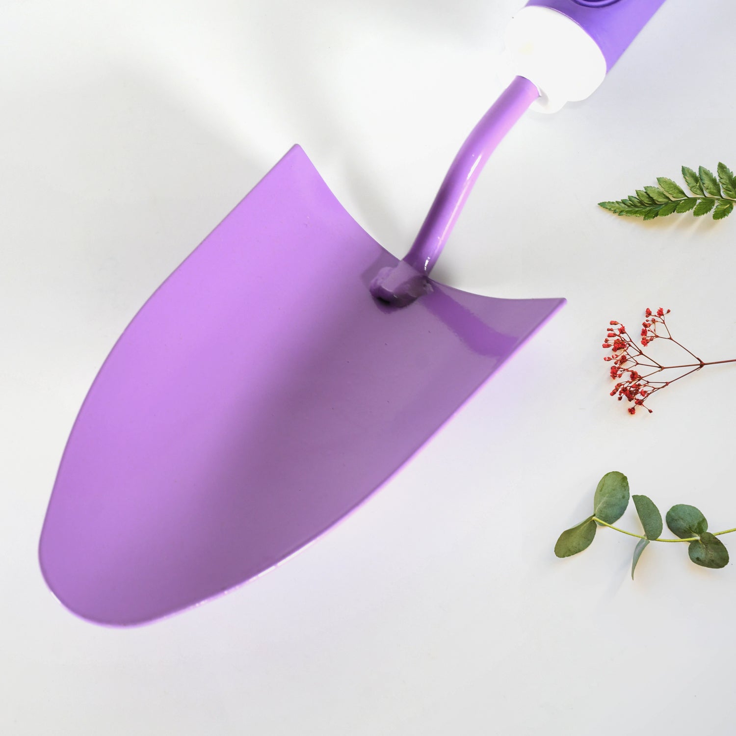 Home Gardening Tools For Plants