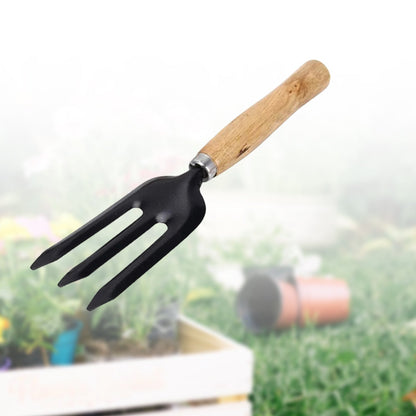 Hand Weeding Fork