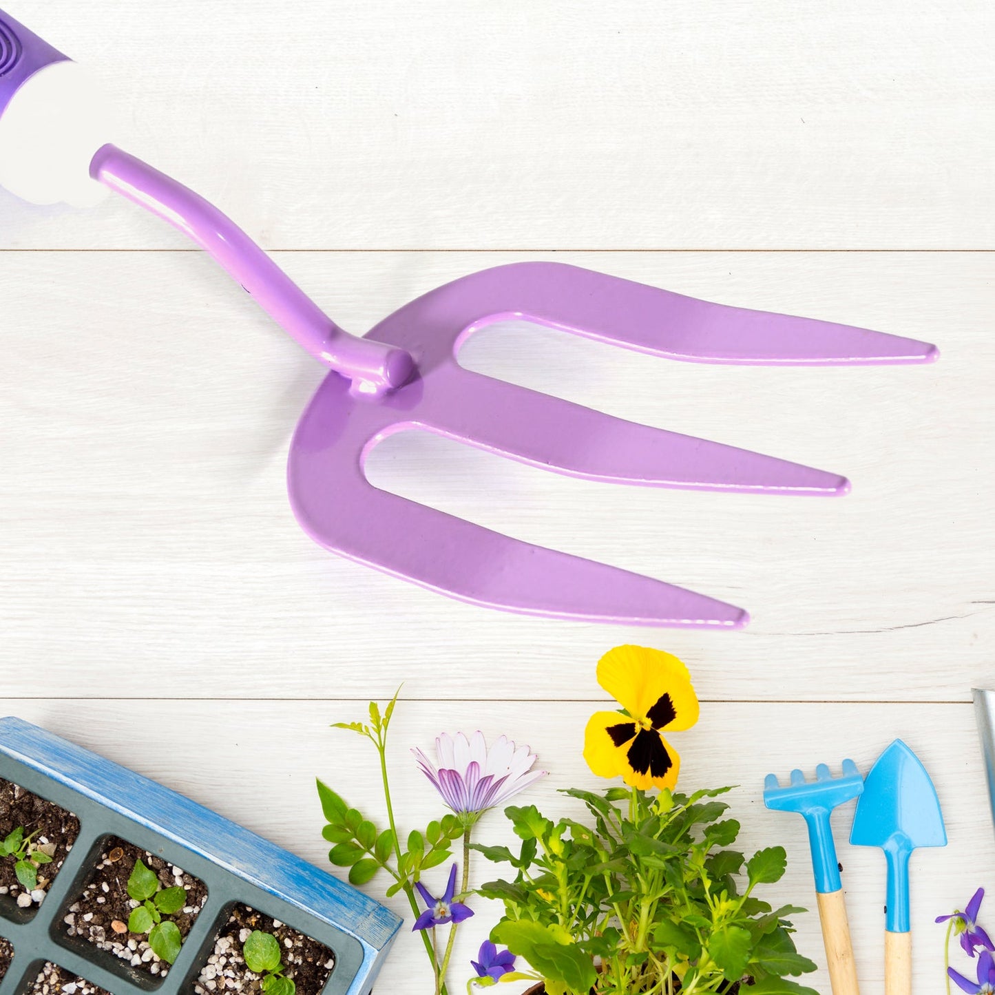 Home Gardening Tools For Plants