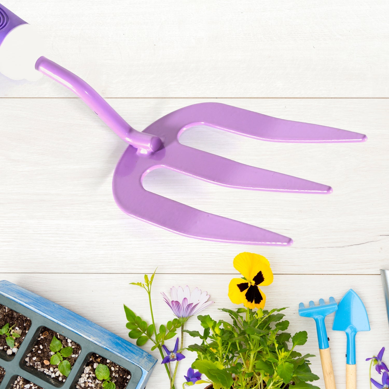 Home Gardening Tools For Plants