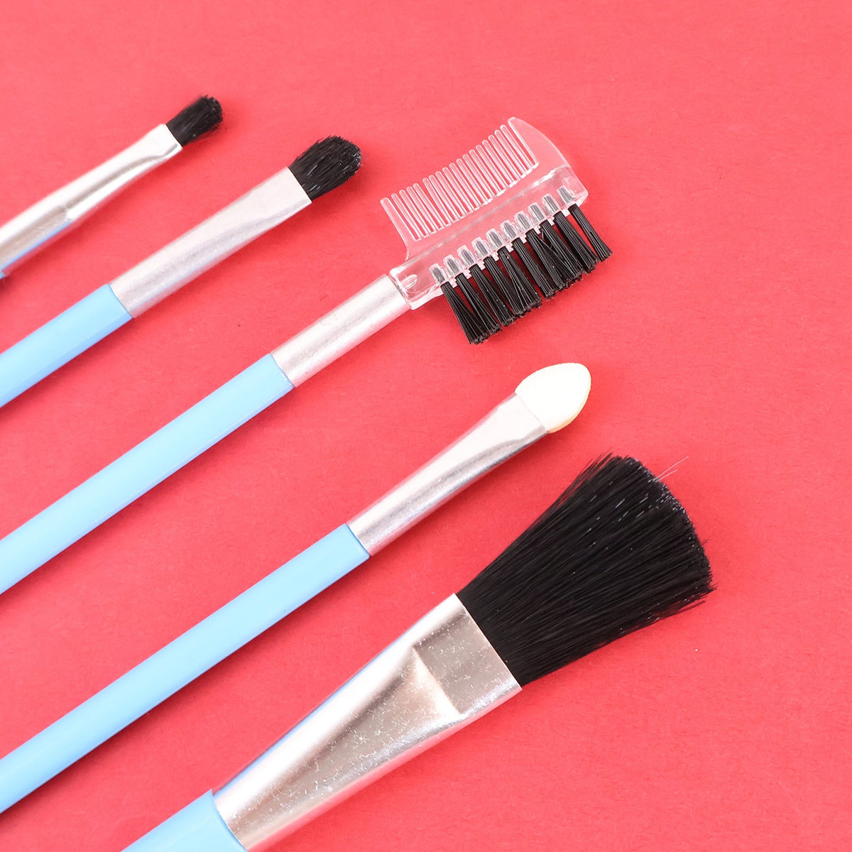 Professional Makeup Brush Kit