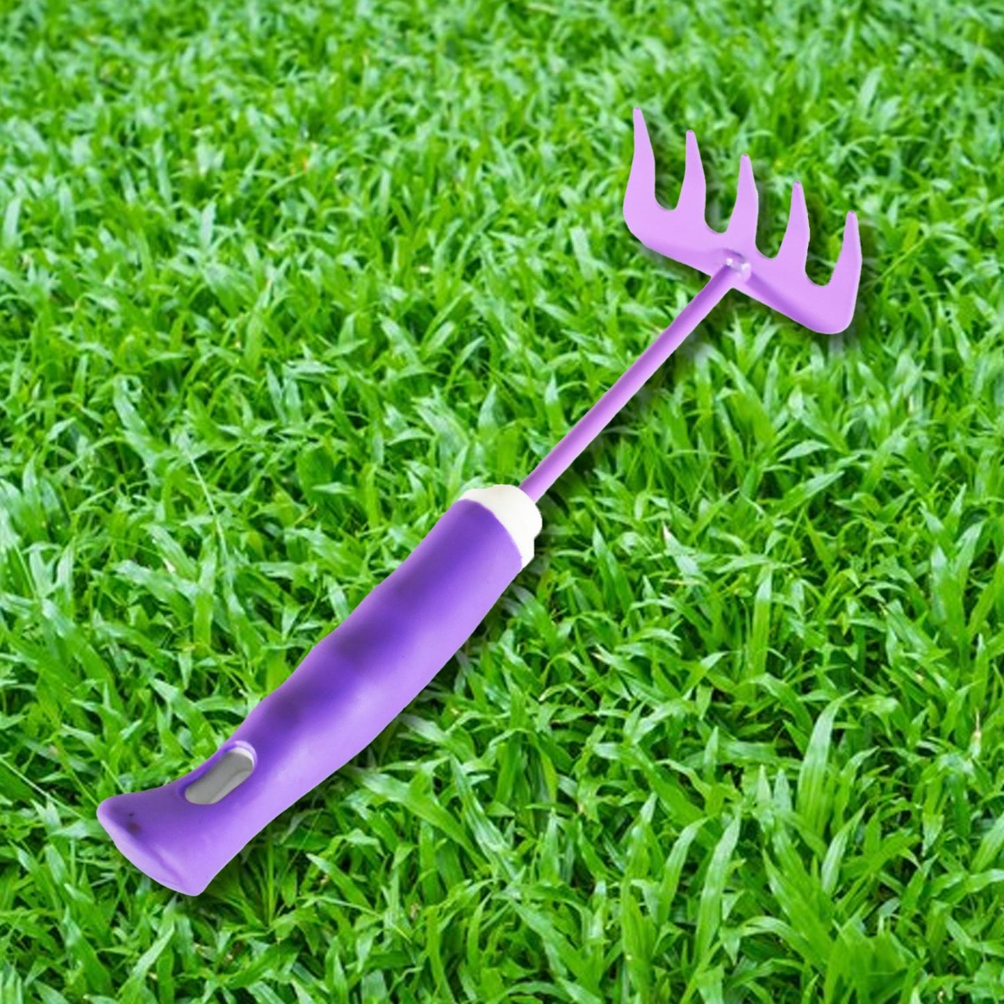 Home Gardening Tools For Plants