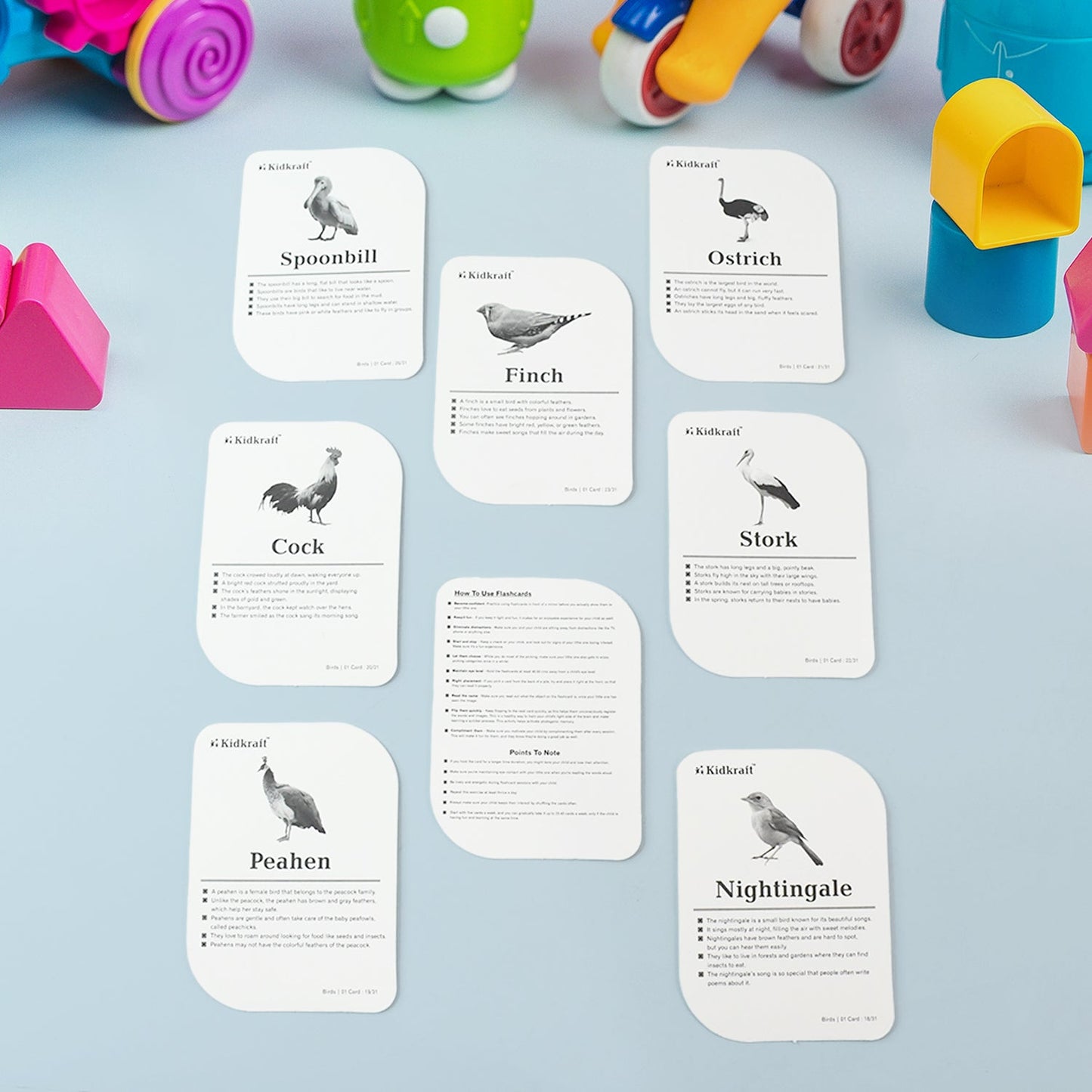 KidKraft Birds Flashcards – 32 Cards