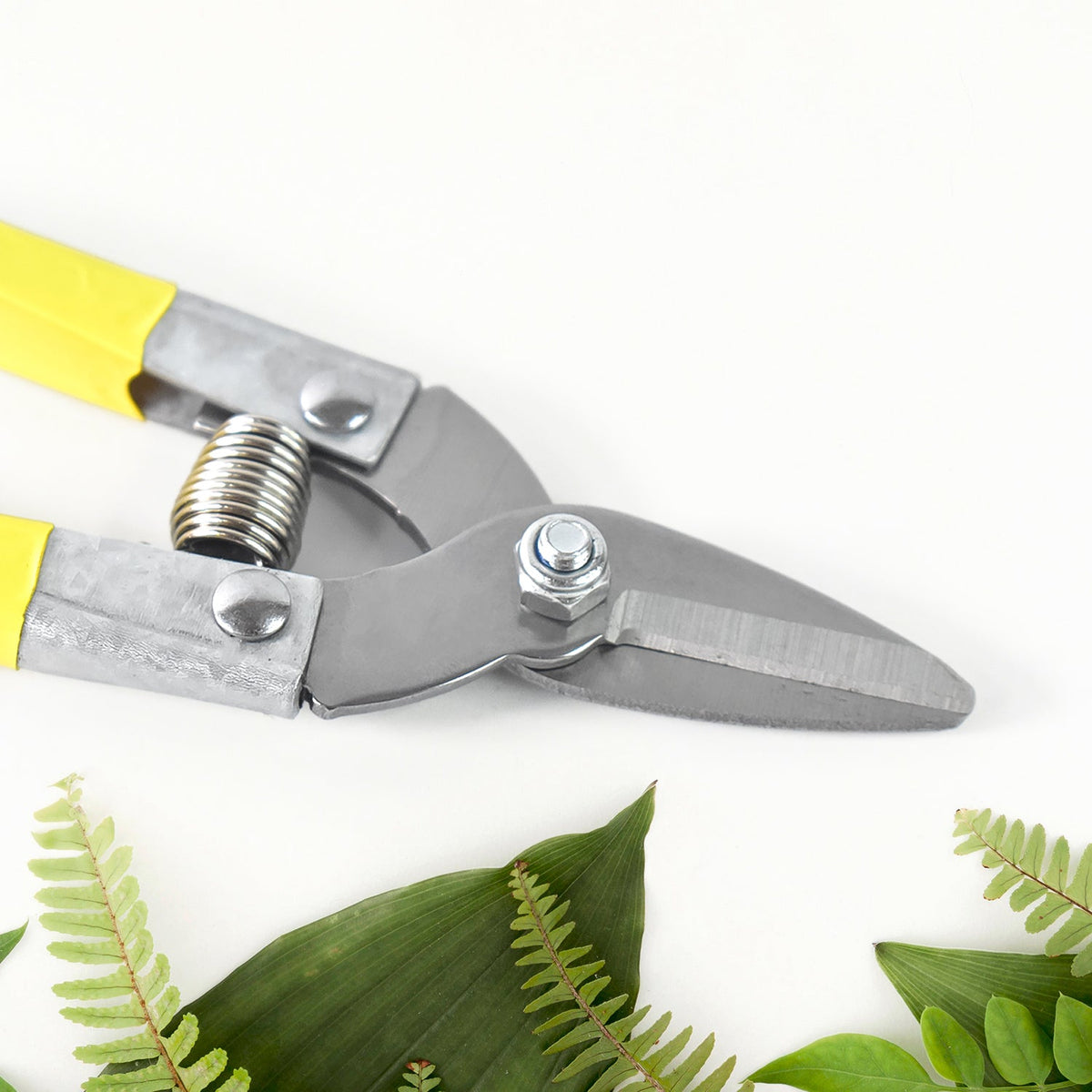 Micro Pruning Scissors