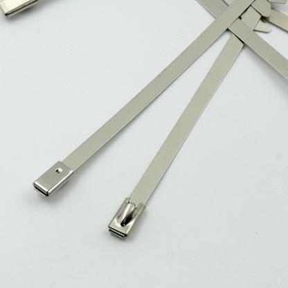 Stainless Steel Cable Ties