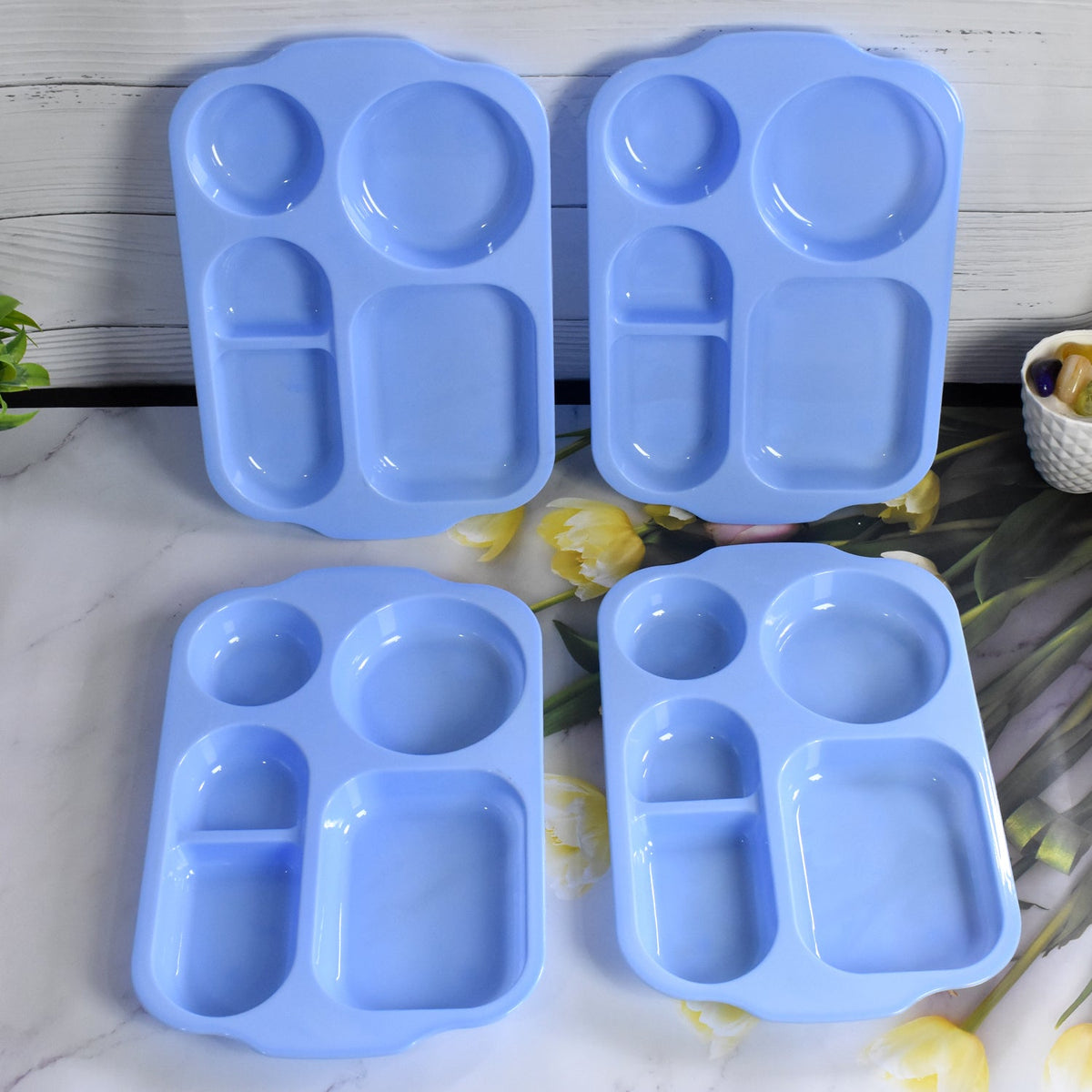 Unbreakable Food Compartment Plates