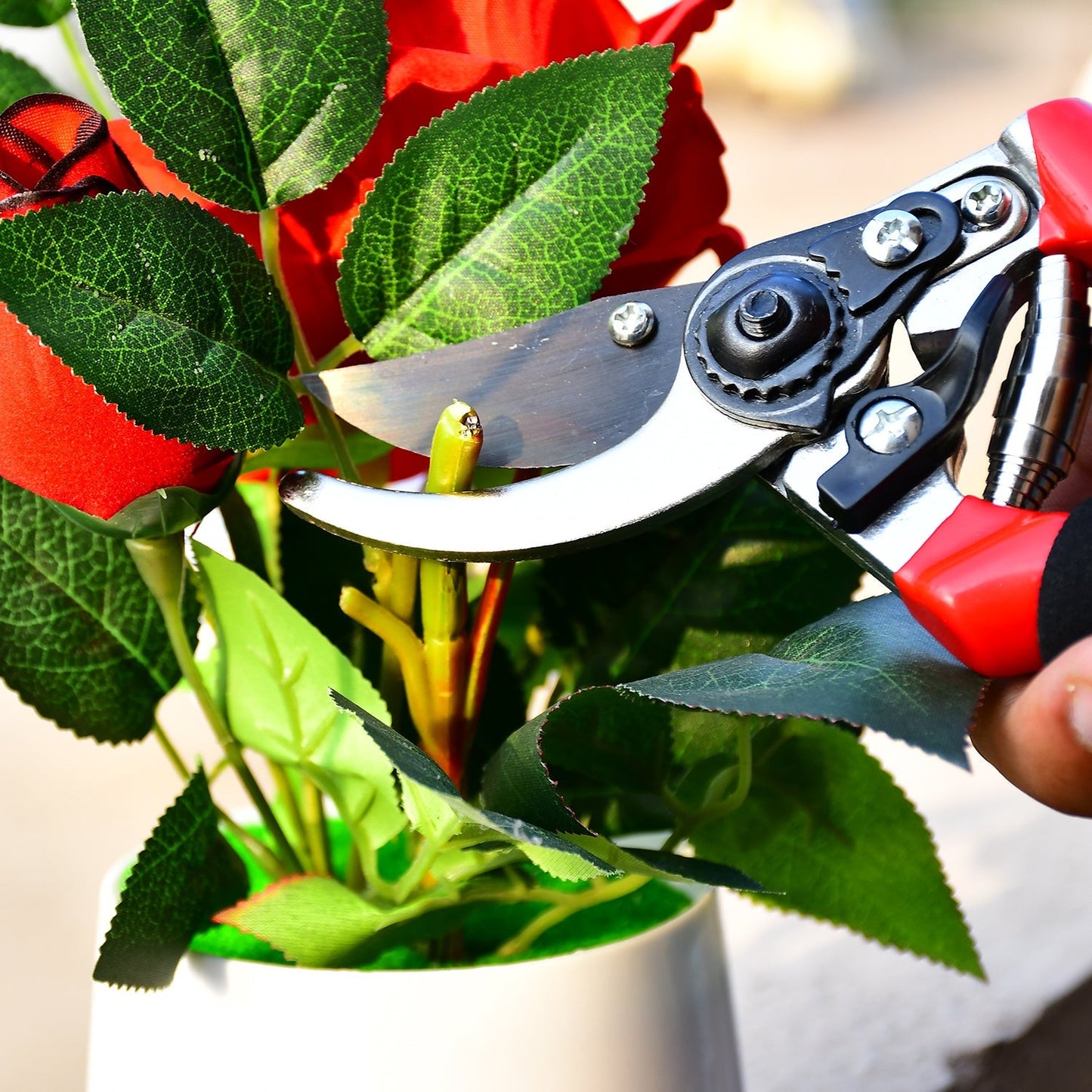 Sharp Garden Pruning Shears