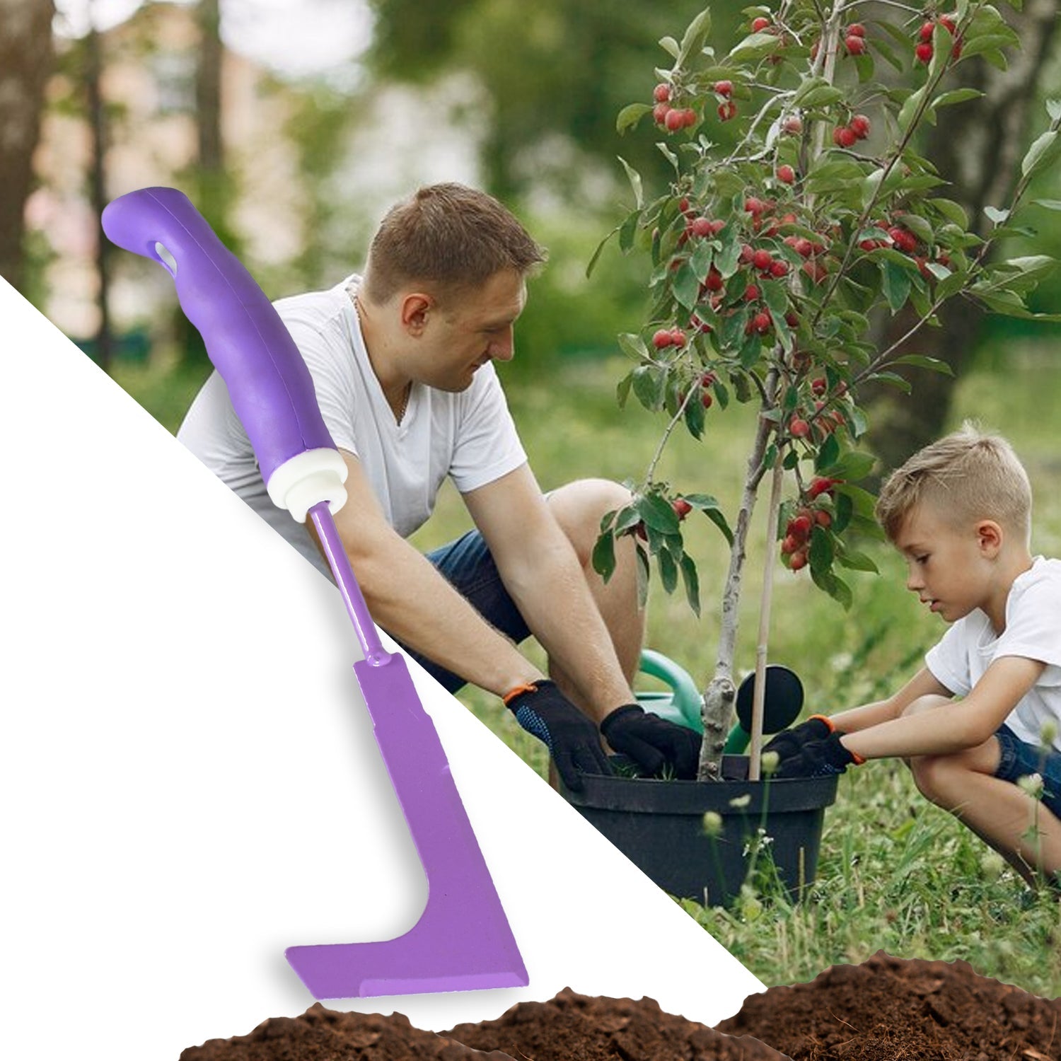 Home Gardening Tools For Plants