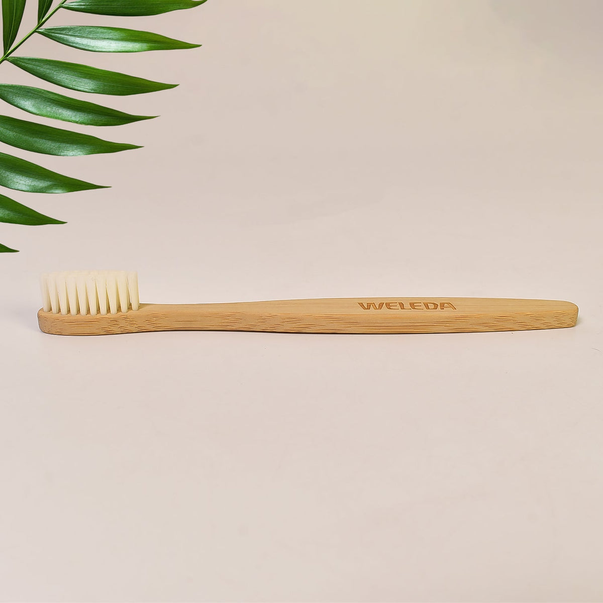 Bamboo Charcoal Toothbrush
