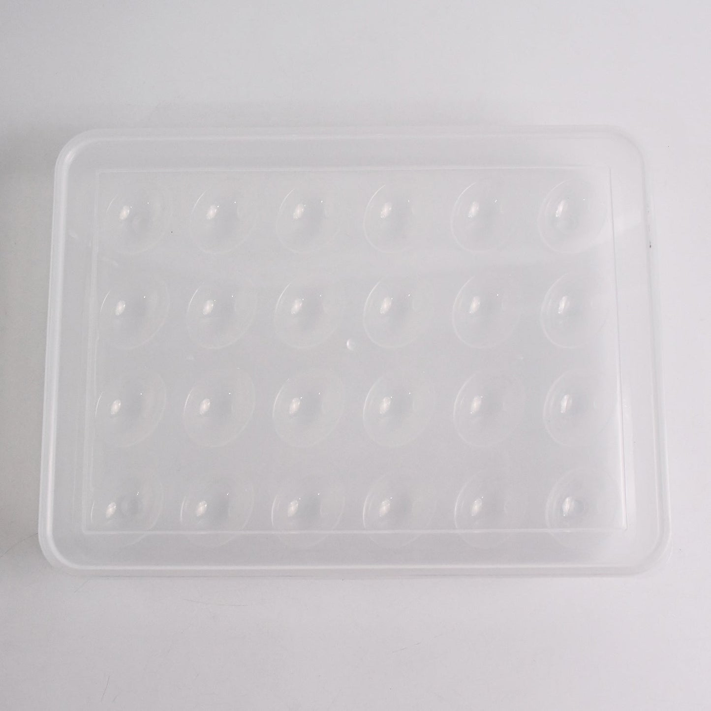 Egg Storage Container – 24 Eggs