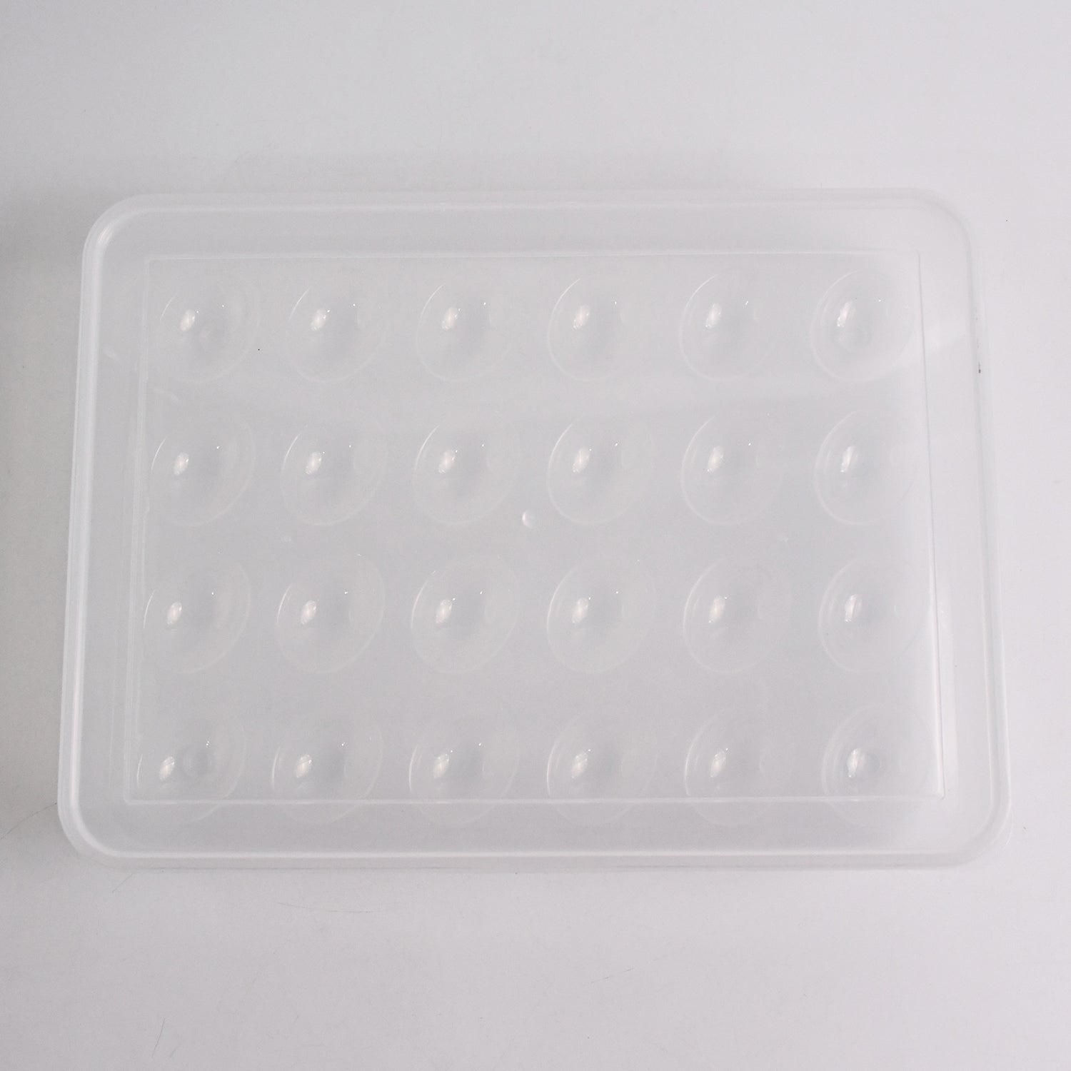 Egg Storage Container – 24 Eggs