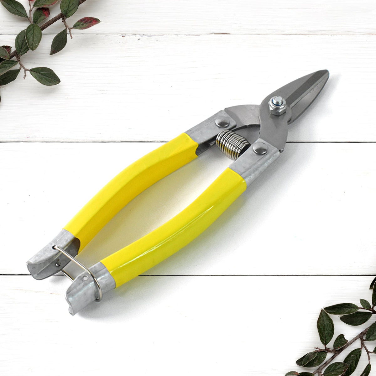 Micro Pruning Scissors