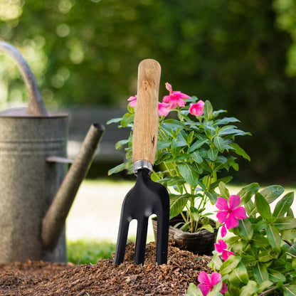 Hand Weeding Fork