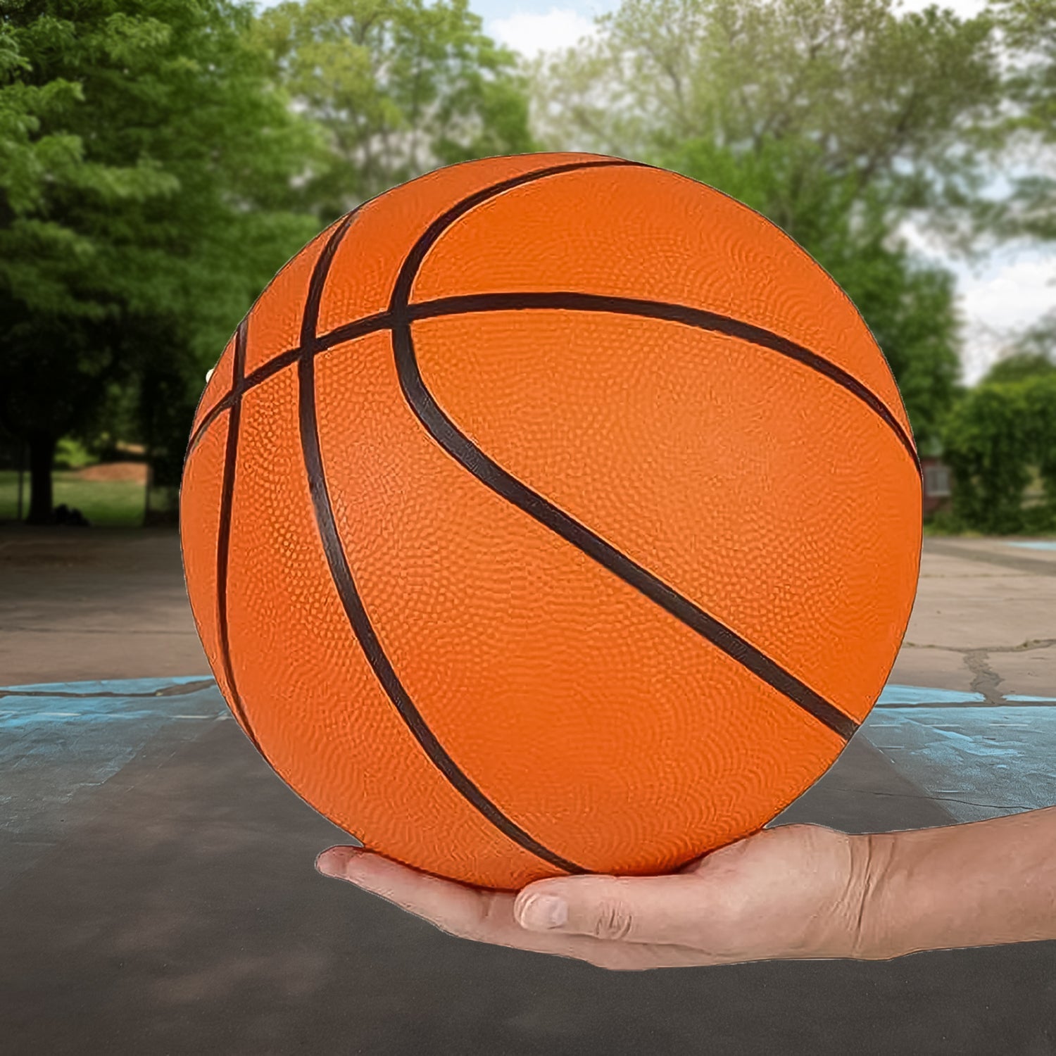Mini Basketball Toy