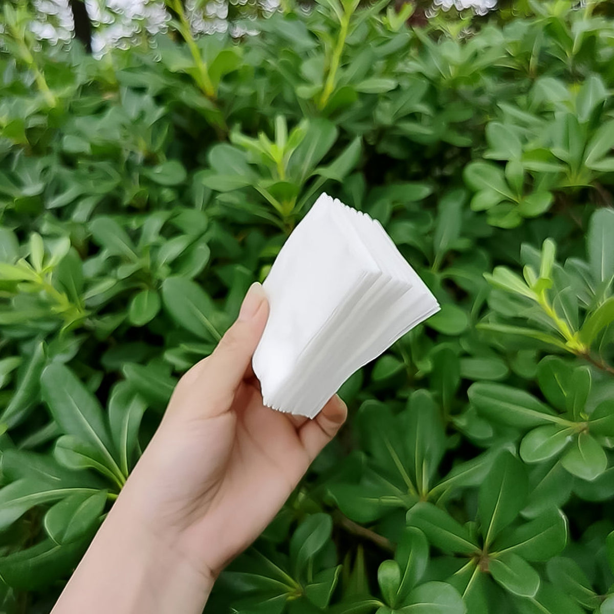 Cotton Makeup Remover Pads