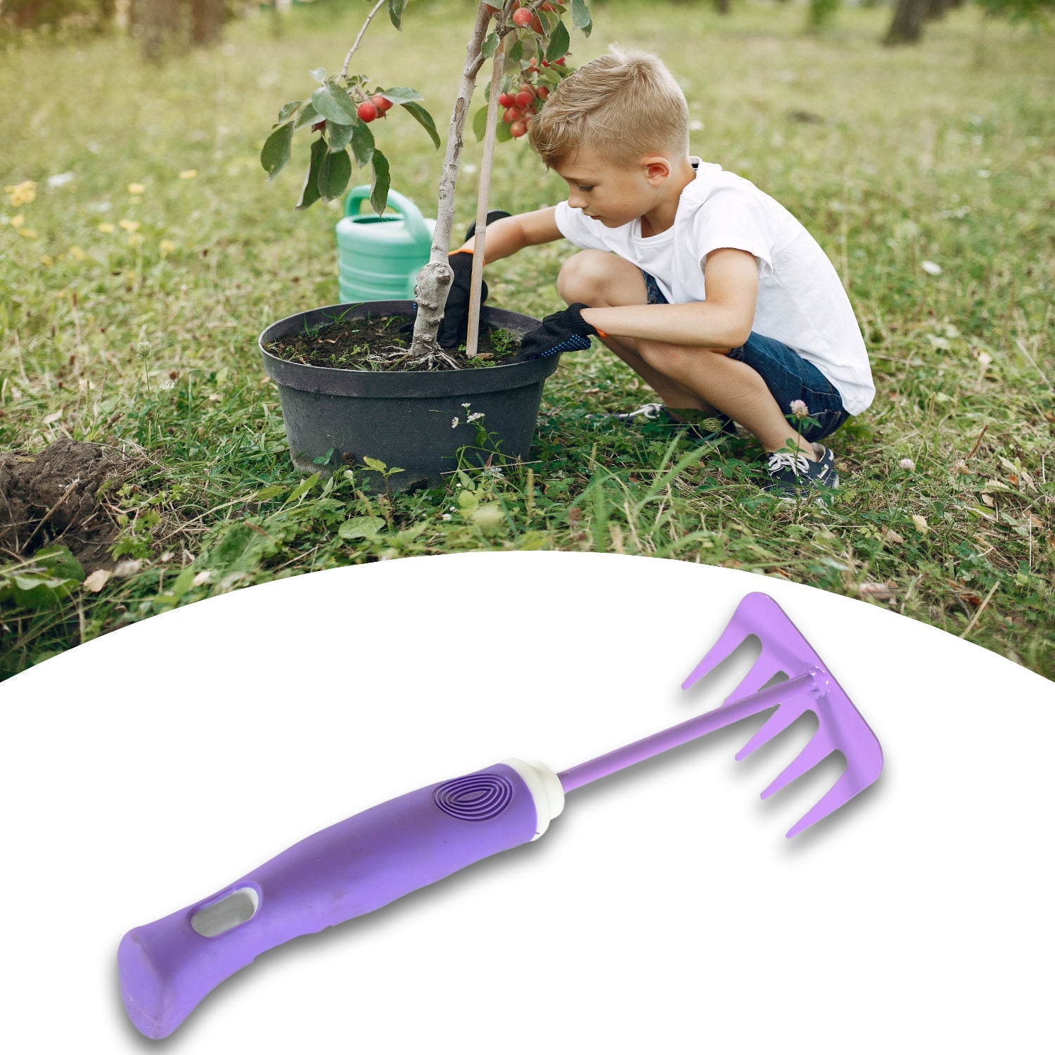 Home Gardening Tools For Plants