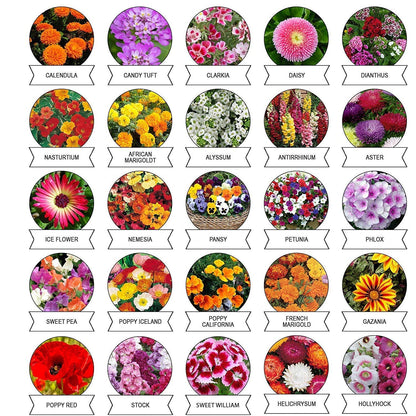 Flower Seeds Combo