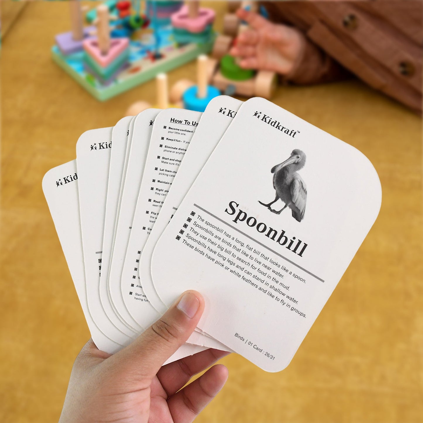 KidKraft Birds Flashcards – 32 Cards