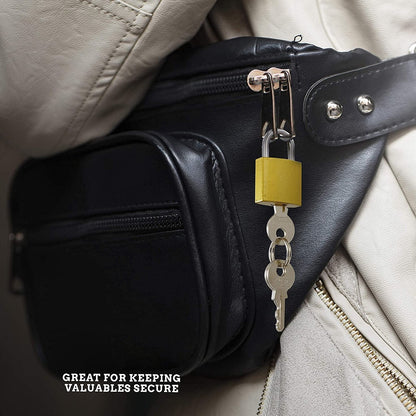 Cut-Resistant Brass Padlock