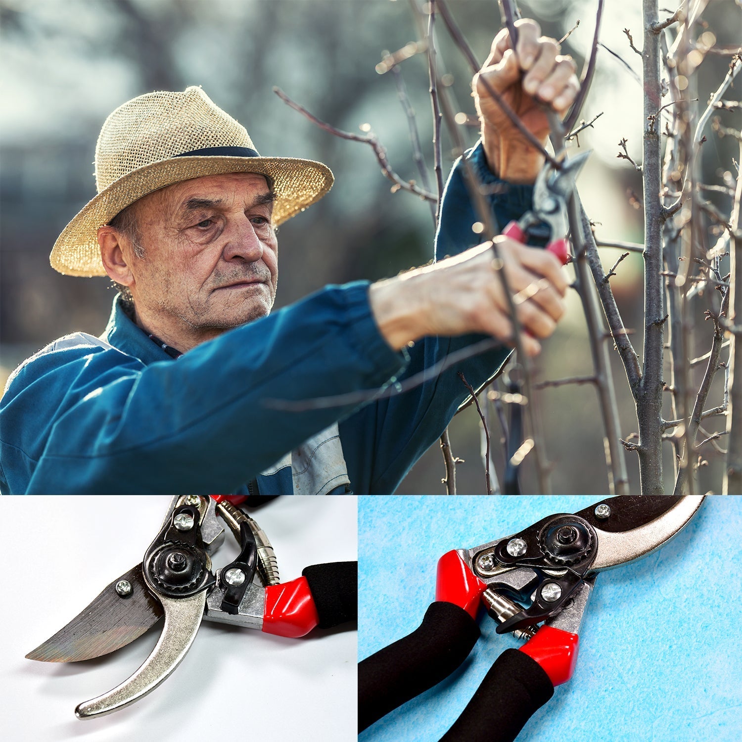 Sharp Garden Pruning Shears