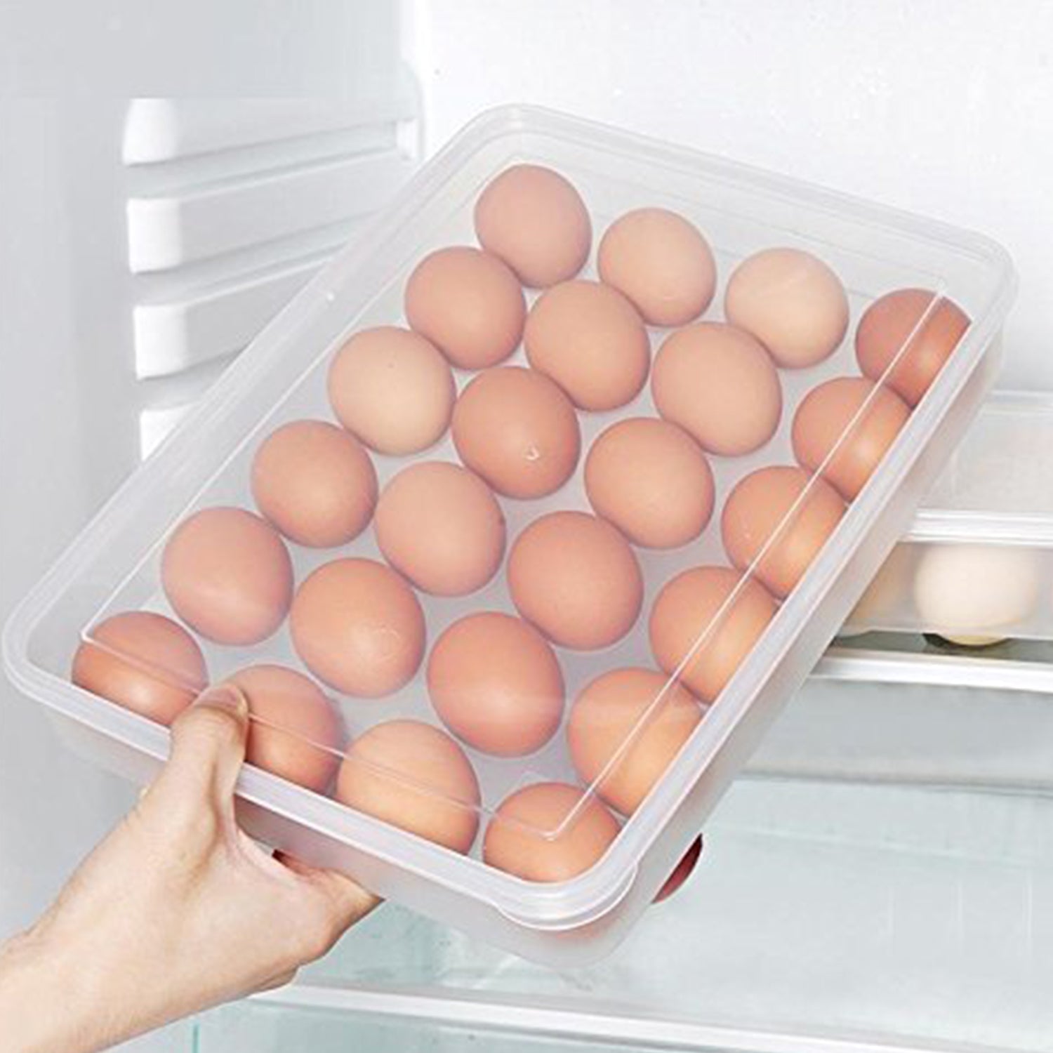 Egg Storage Container – 24 Eggs
