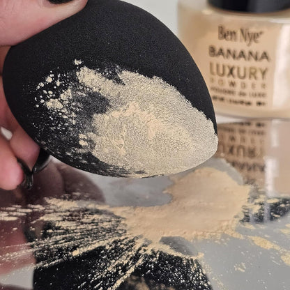 Pro Beauty Sponge Set