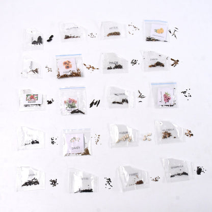 Flower Seeds Combo