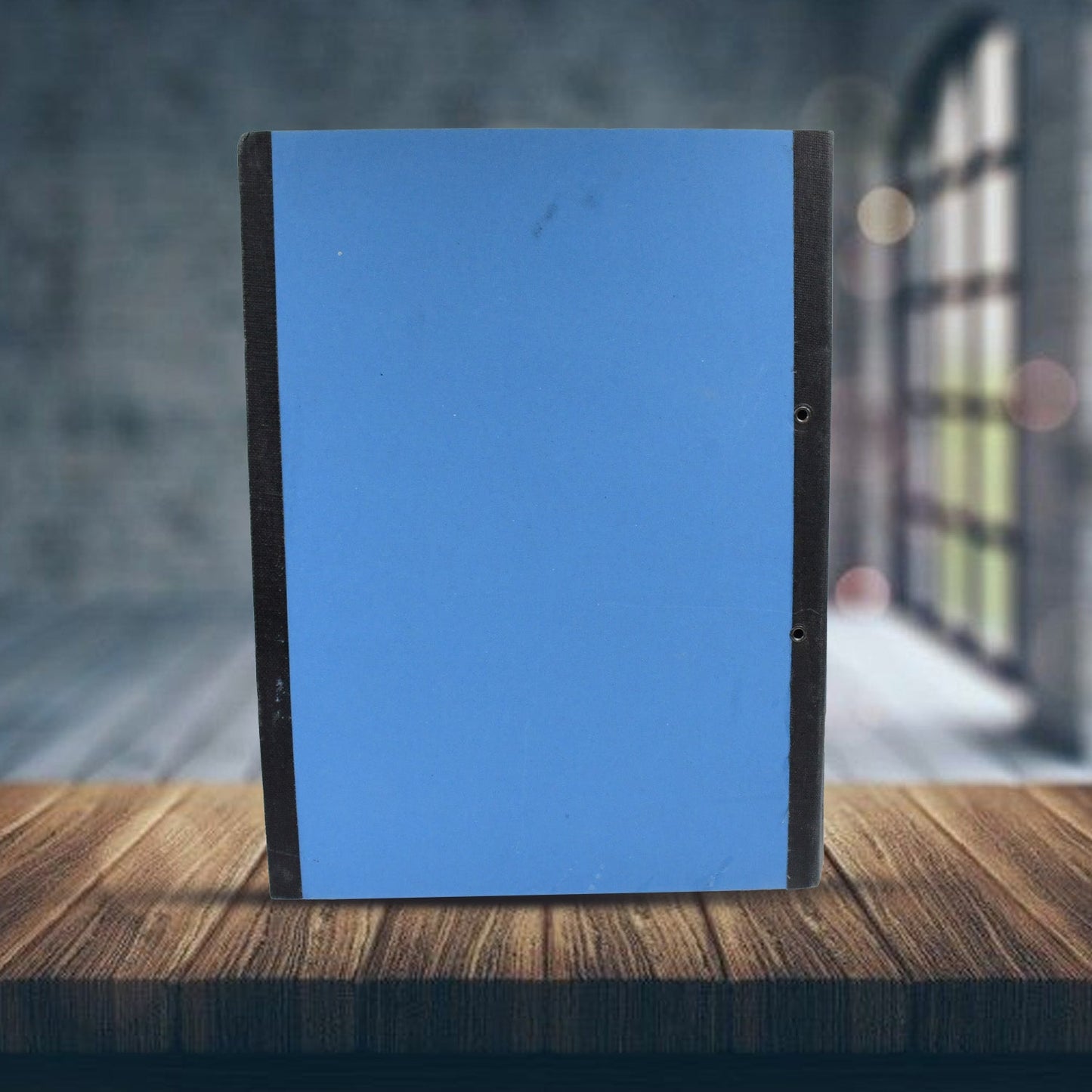 Plastic File Folder