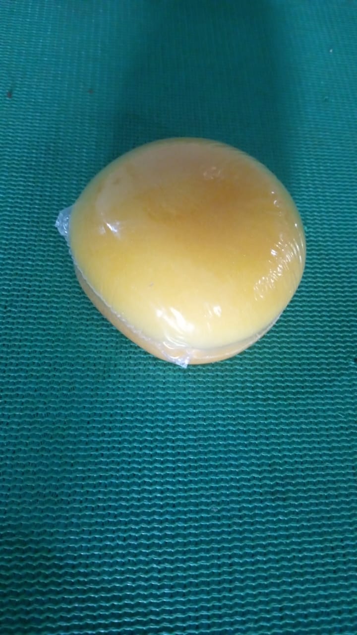 Burger Shaped Notepad
