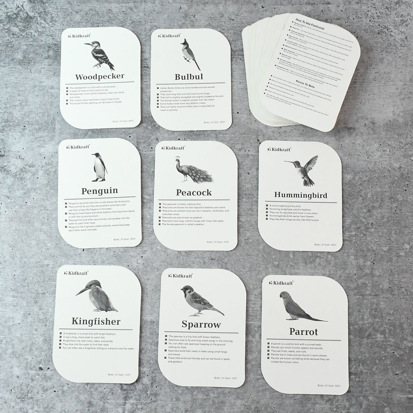 KidKraft Birds Flashcards – 32 Cards