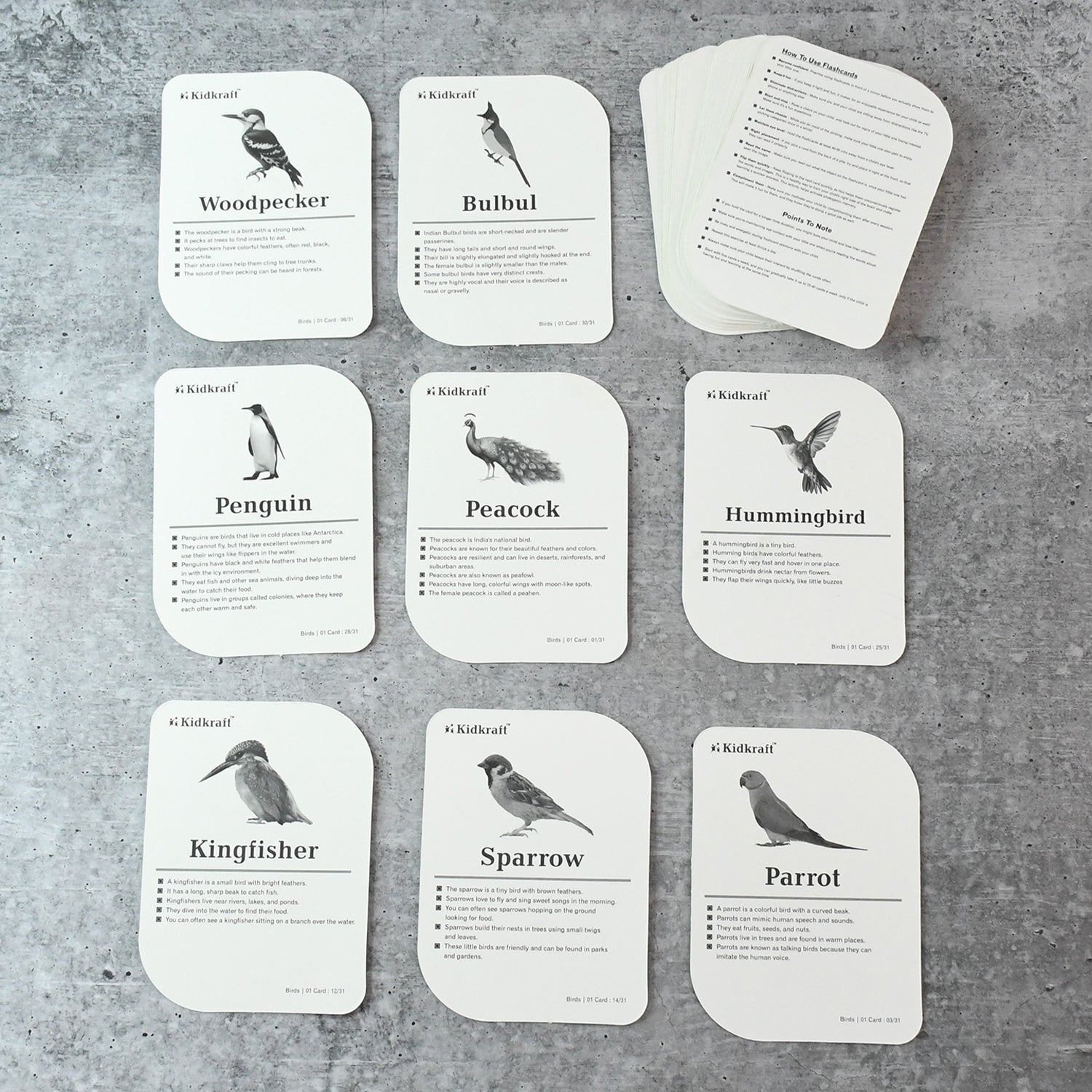 KidKraft Birds Flashcards – 32 Cards