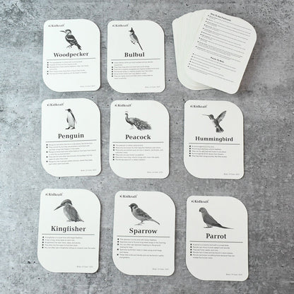 KidKraft Birds Flashcards – 32 Cards