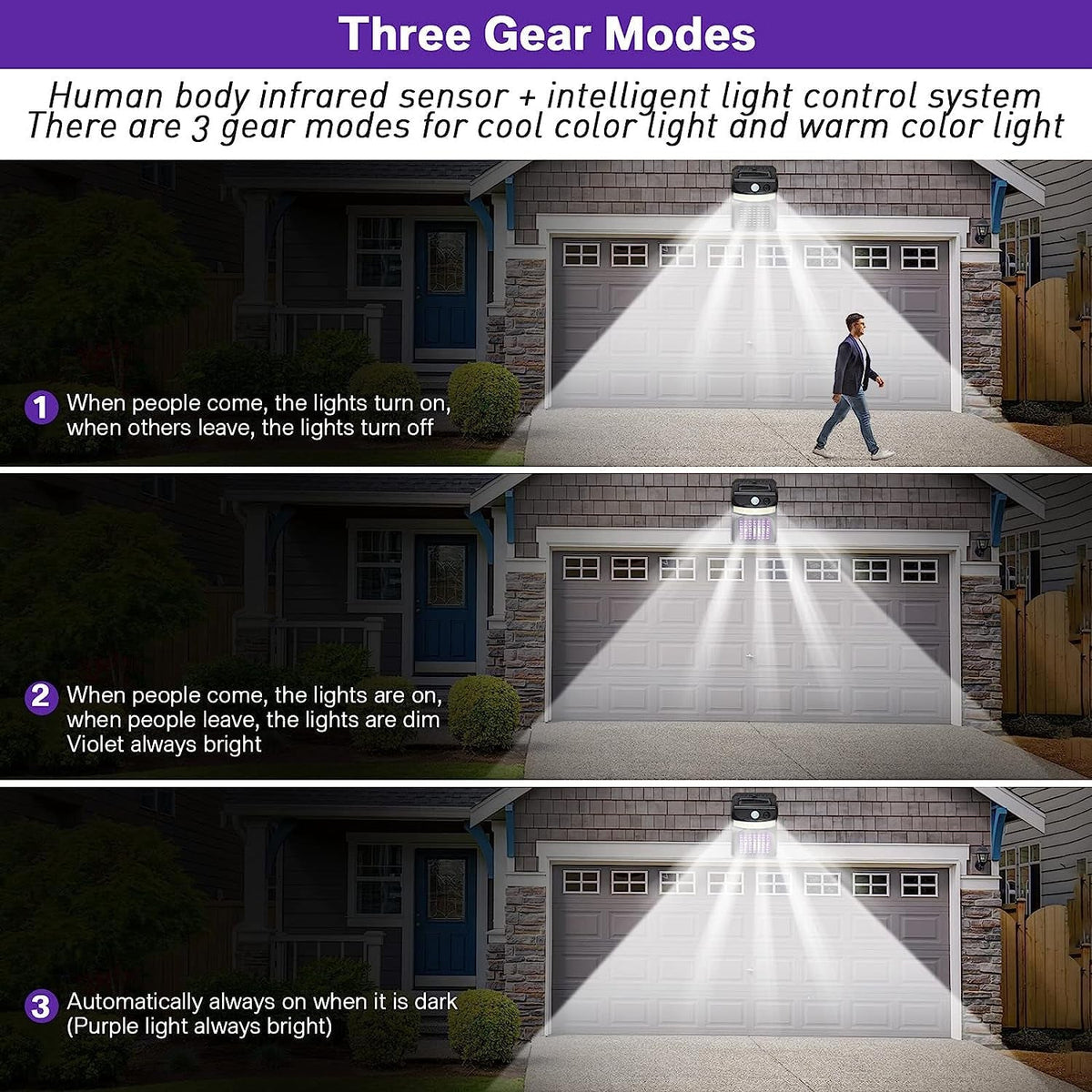 Solar Bug Zapper & Light