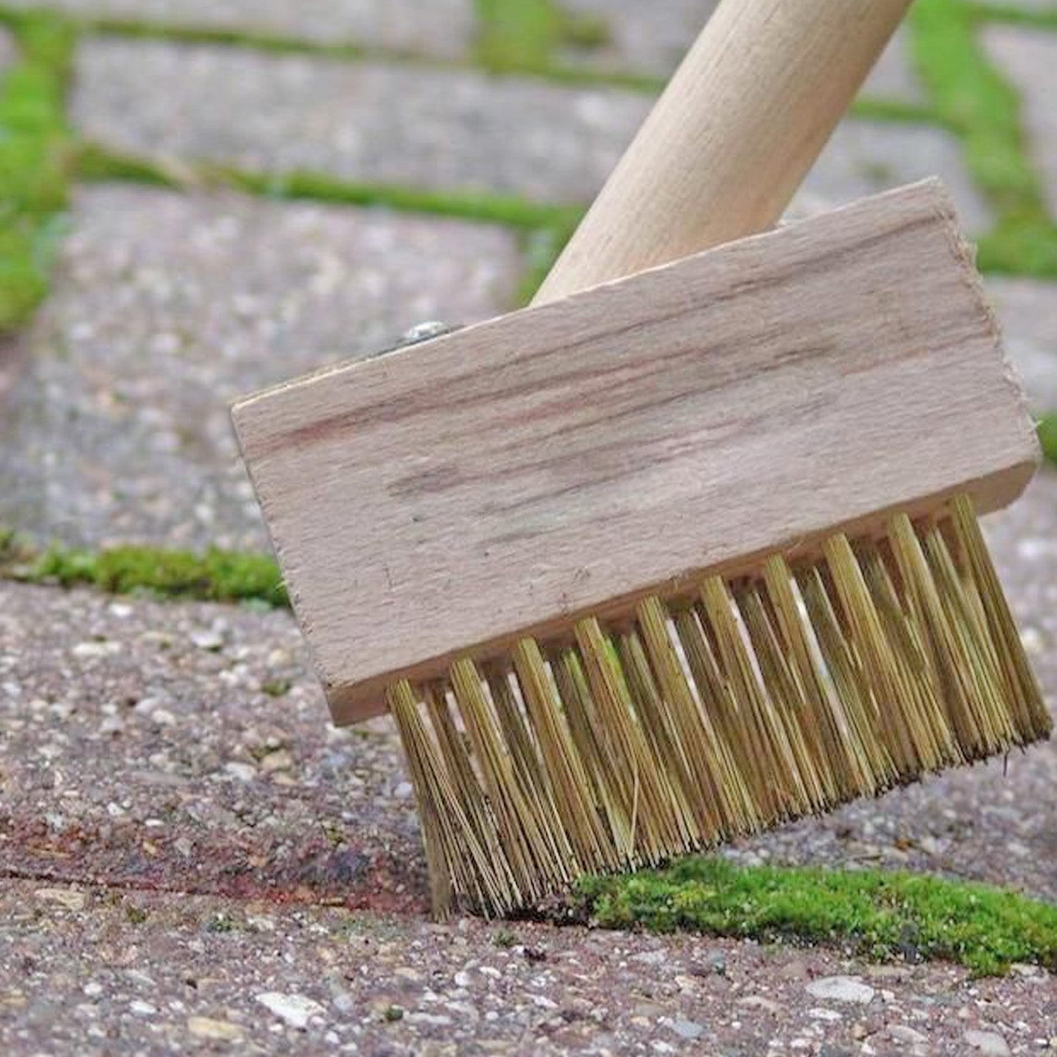 Patio Weed Brush