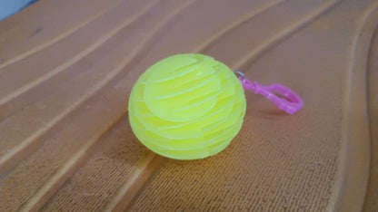 Worm Fidget Toy