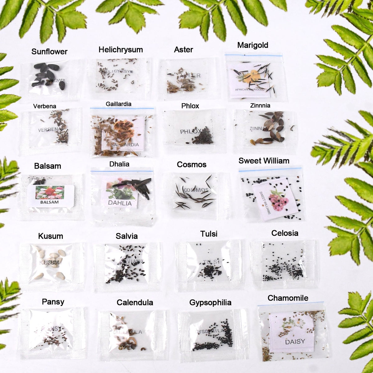 Flower Seeds Combo