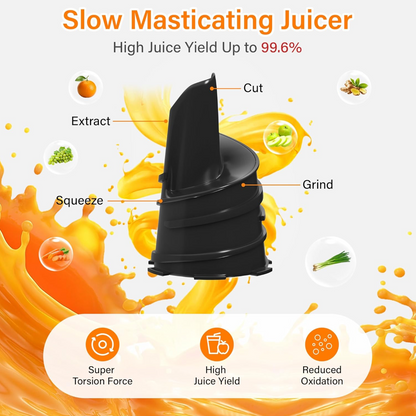 Modern Plastic Manual Juicer