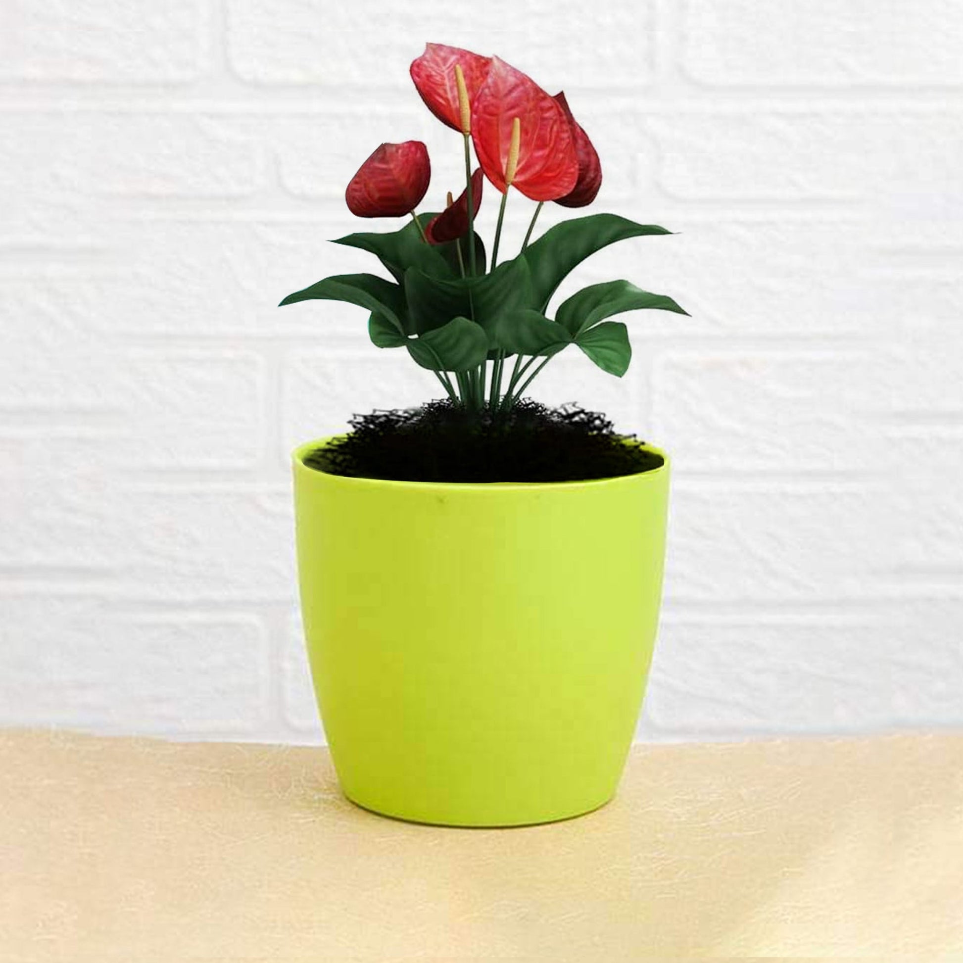Flower Pots Round Shape