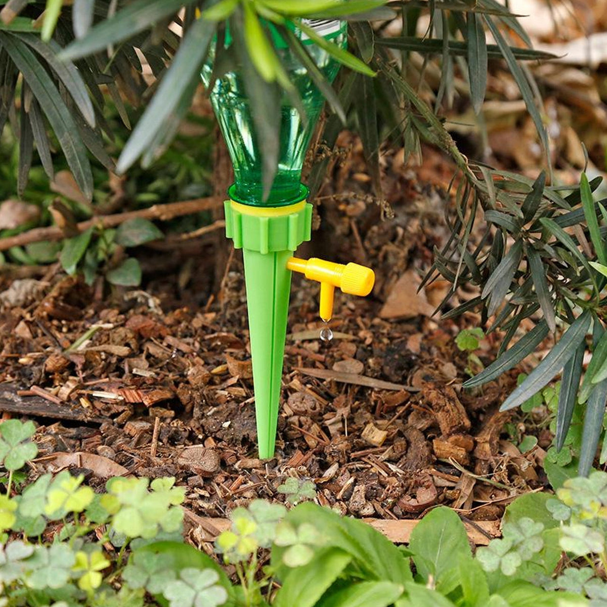 Self-Watering Plant Spikes