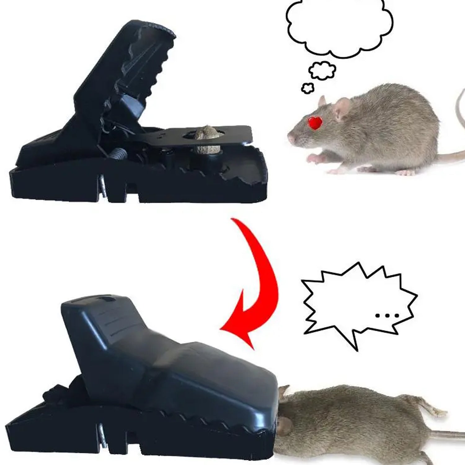 Reusable Rat Trap