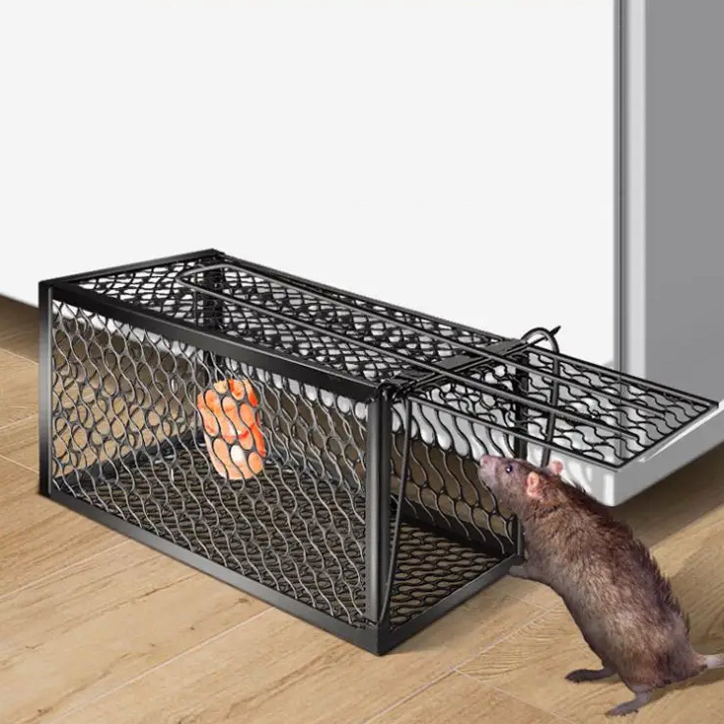 Humane Live Catch Trap